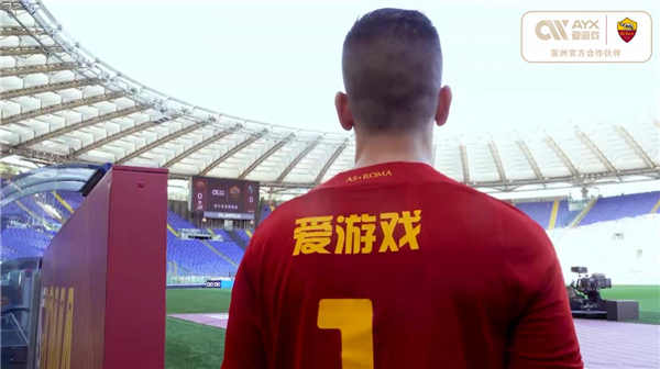 这一提议也